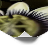 Mystical Woodland Moth ポスター (コーナー)