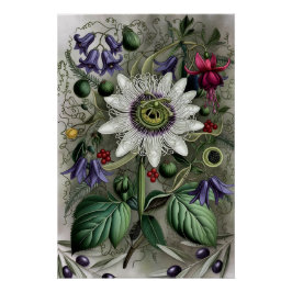 Mystical Woodland Moth ポスター