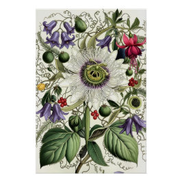 Mystical Woodland Moth ポスター