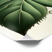 Mystical Woodland Moth ポスター (コーナー)