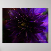 Mystifyポスター16" x 12" ポスター (正面)