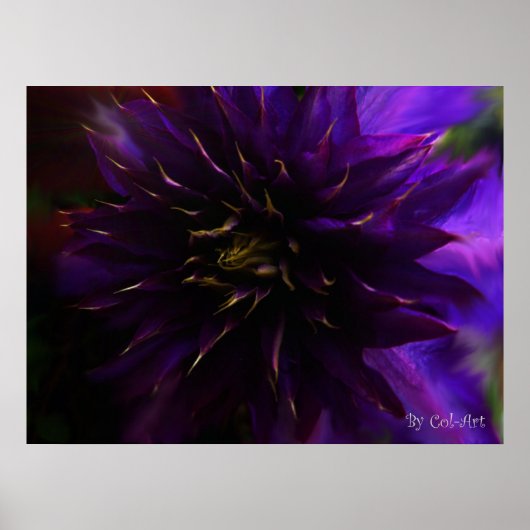 Mystifyポスター16" x 12" ポスター (正面)