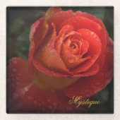 Mystique Dark Botanical Red Orange Rose Coaster ガラスコースター (正面)
