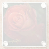 Mystique Dark Botanical Red Orange Rose Coaster ガラスコースター (裏面)