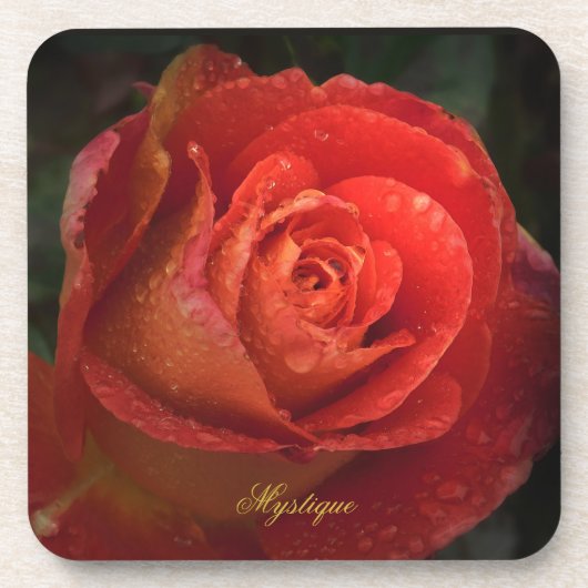 Mystique Dark Botanical Red Orange Rose Coaster コースター (正面)