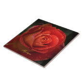 Mystique Dark Botanical Red Orange Rose Tile タイル (側面)