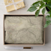 Nアジア 薄葉紙 (ギフト)