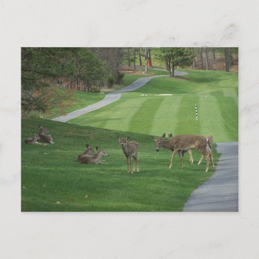 Nチルリングを見る ポストカード (正面)