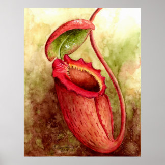 Nラジャ水彩画ポスター ポスター