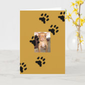 n1033590036_30149730_9405mmmmの足跡 カード (黄色い花)