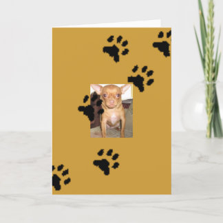 n1033590036_30149730_9405mmmmの足跡 カード