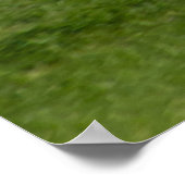 N13958 ERJ-145LR ポスター (角)