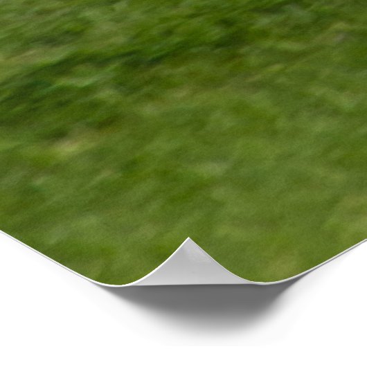 N13958 ERJ-145LR ポスター (角)