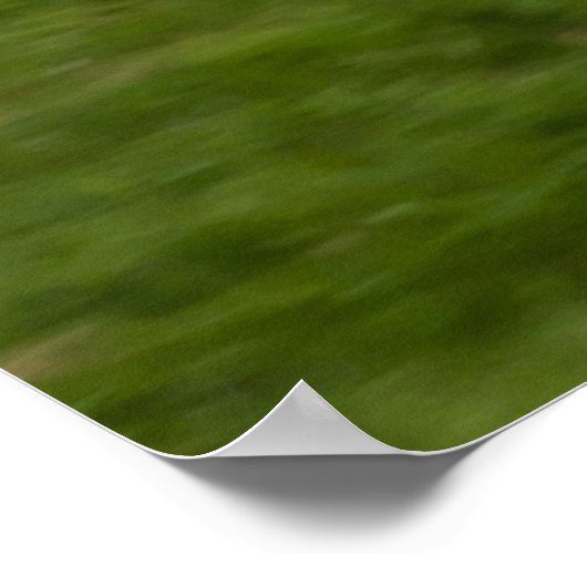 N405SW Skywest Canadair CRJ-200ER ポスター (角)