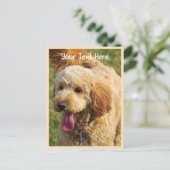 {"N":{"カスタム":[""]},"A":{"カスタム":[""]}}  Goldendoodl ポストカード (スタンド正面)