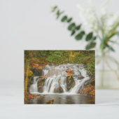 N.ジョージアの美しいデュークス・クリークの滝 ポストカード (スタンド正面)