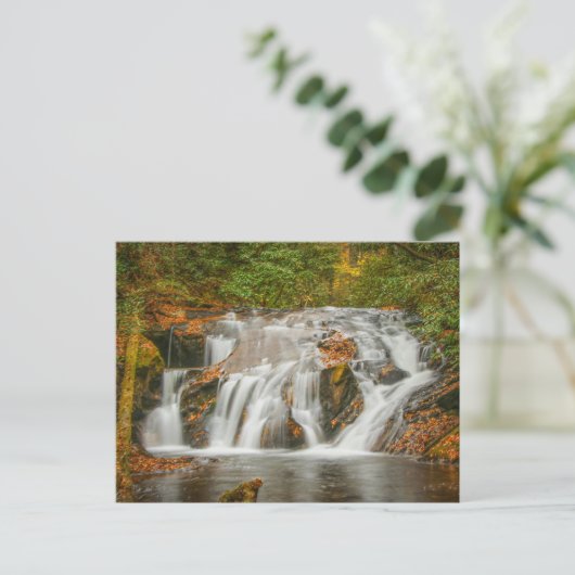 N.ジョージアの美しいデュークス・クリークの滝 ポストカード (スタンド正面)