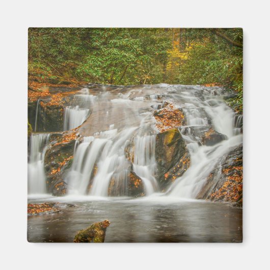 N.ジョージアの美しいデュークス・クリークの滝 マグネット (正面)