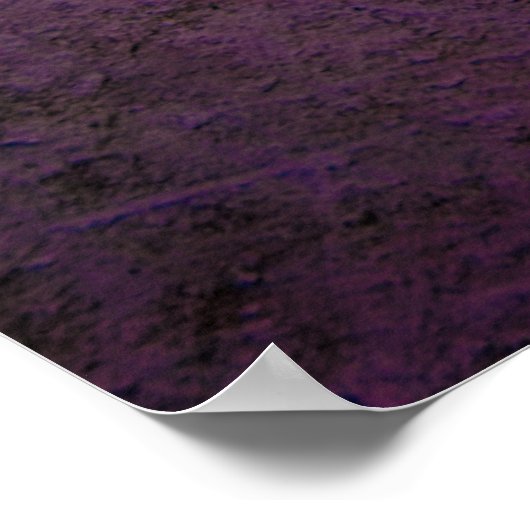 N – ビベ ポスター (角)