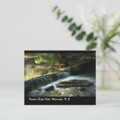 N・ワイララパ・タラルア森林公園Z. ポストカード (スタンド正面)