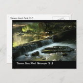 N・ワイララパ・タラルア森林公園Z. ポストカード (正面/裏面)