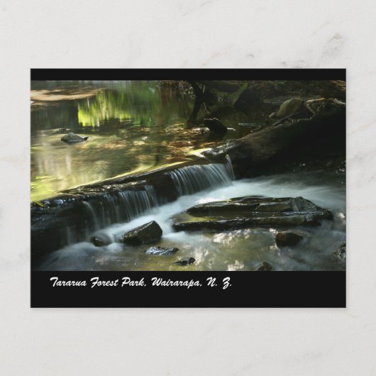 N・ワイララパ・タラルア森林公園Z. ポストカード (正面)
