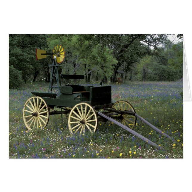 N.A., アメリカ, テキサス州, ディヴァイン, 古い荷車と (正面横)
