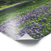 N.A，アメリカ，テキサス州，ブキャナン湖，オークスとブルー フォトプリント            (角)