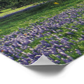 N.A,アメリカ,テキサス州,ブキャナン湖,オークスとブルー ポスター (角)