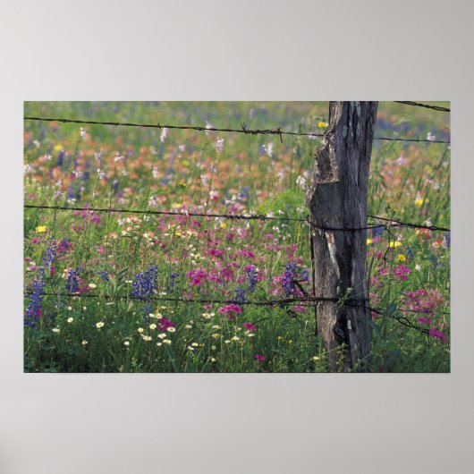 N.A，アメリカ，テキサス州，リトル，フェンスのポスト ポスター (正面)