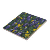 N.A，アメリカ，テキサス州，大理石滝，ブルーボンネット タイル (側面)