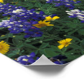 N.A,アメリカ,テキサス州,大理石滝,ブルーボンネット ポスター (角)