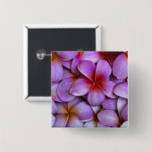 N.A.、アメリカ、マウイ、ハワイ。ピンクのプルメリアが咲く。 缶バッジ (正面&裏面)