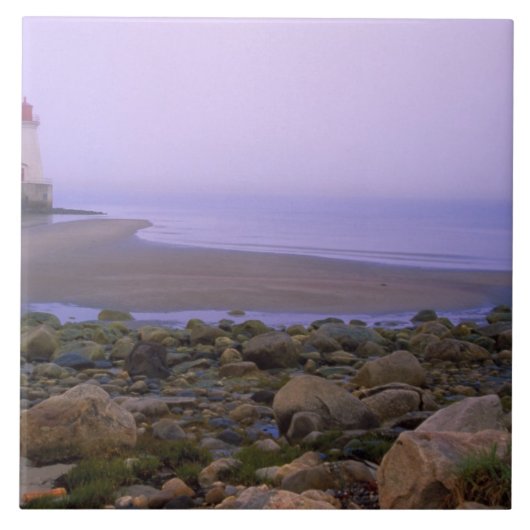 N.A.カナダ、ノヴァスコシア、シェルバーン郡。 タイル (正面)