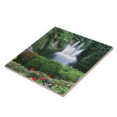 N.A.，カナダ，ブリティッシュコロンビア，バンクーバー タイル (側面)