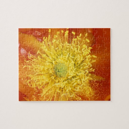 N.A.、米国、アリゾナ、ツーソン、ソノラ砂漠3 ジグソーパズル (横)