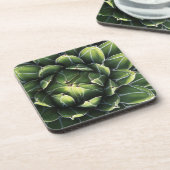 N.A.、米国、アリゾナ、ツーソン、ソノラ砂漠 コースター (左側)