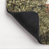 N.A.、米国、オレゴン、Hood River County。 赤い マウスパッド (コーナー)