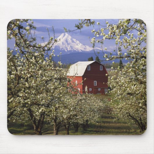 N.A.、米国、オレゴン、Hood River County。 赤い マウスパッド (正面)