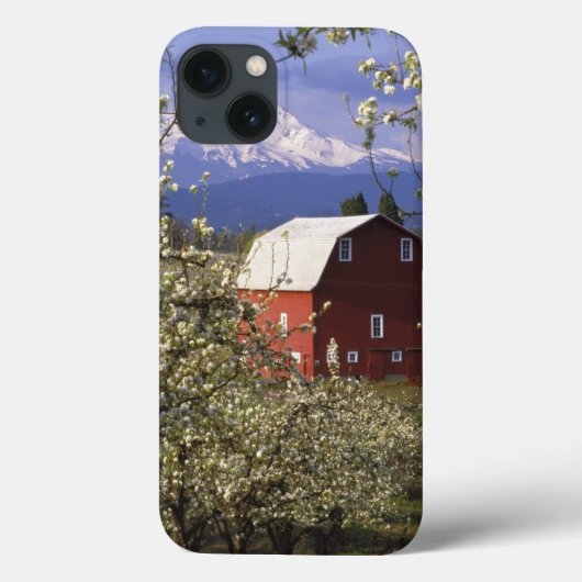 N.A.、米国、オレゴン、Hood River County。 赤い Case-Mate iPhoneケース (裏面)