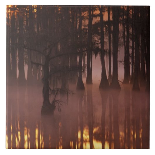 N.A.、米国、ジョージア、ジョージ·スミス·州·パーク タイル (正面)