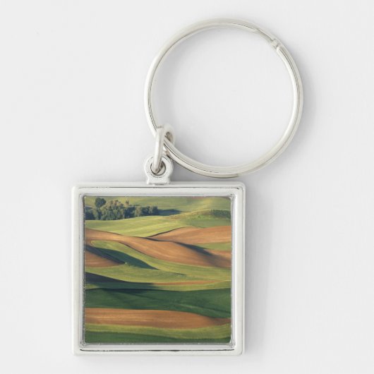 N.A.、米国、ワシントン州、Whitman郡。 キーホルダー (正面)