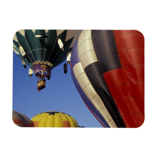 N.A.，米国，ワシントン，ワラワラ，ワラワラ マグネット (横)