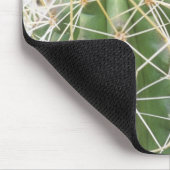 N.A.、米国、AZ、フェニックス、砂漠植物 マウスパッド (コーナー)