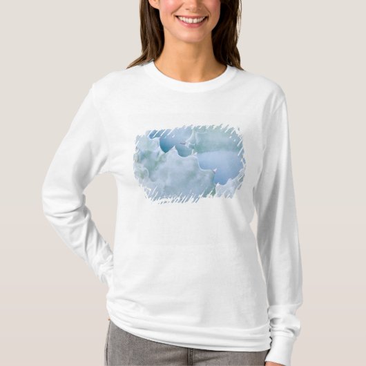 N.A., USA, アリゾナ州, ツーソン, ソノラ砂漠 2 Tシャツ (正面)