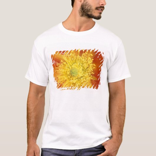 N.A., USA, アリゾナ州, ツーソン, ソノラ砂漠 3 Tシャツ (正面)