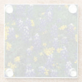 N.A, USA,テキサス州,大理石滝,ブルーボンネット ガラスコースター (裏面)