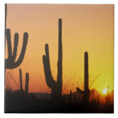 N.A.、USA、AZ、NP、NP、SAGARO Sunset タイル (正面)