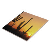 N.A.、USA、AZ、NP、NP、SAGARO Sunset タイル (側面)