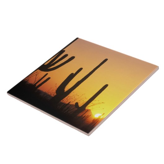 N.A.、USA、AZ、NP、NP、SAGARO Sunset タイル (側面)